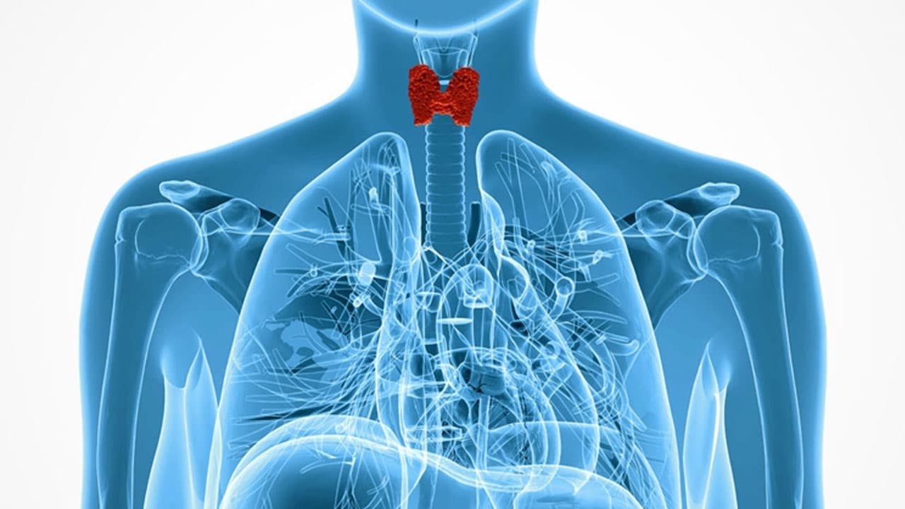 ¿Tiroides “lenta”? Síntomas de hipotiroidismo