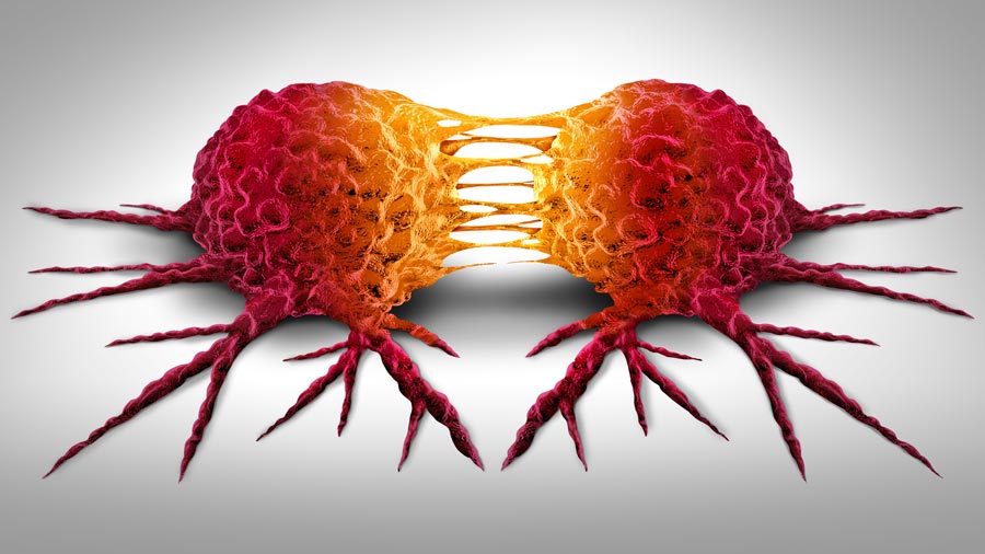 7 alimentos que reducen el riesgo de cáncer, según los expertos