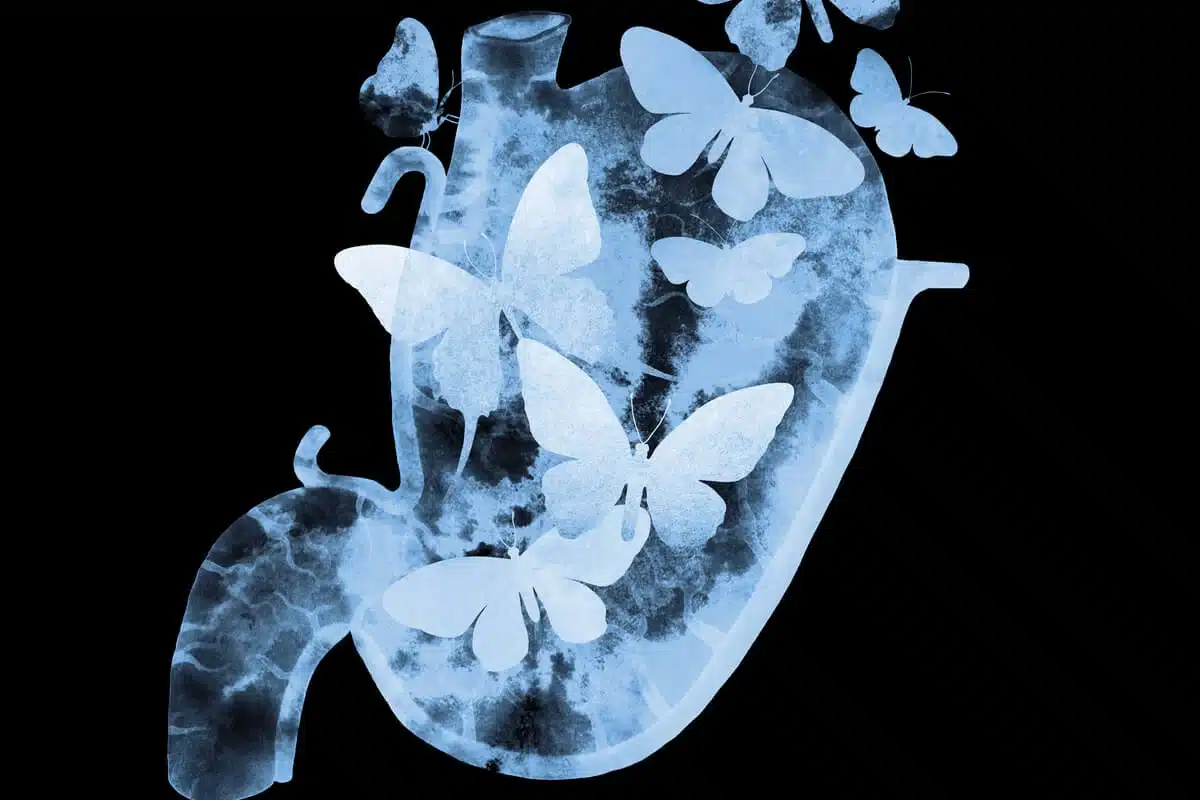¿Crees en las mariposas en el estómago? Ciencia revela qué son realmente