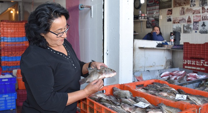 ¿Cómo elegir pescados en Semana Santa? Guía de seguridad