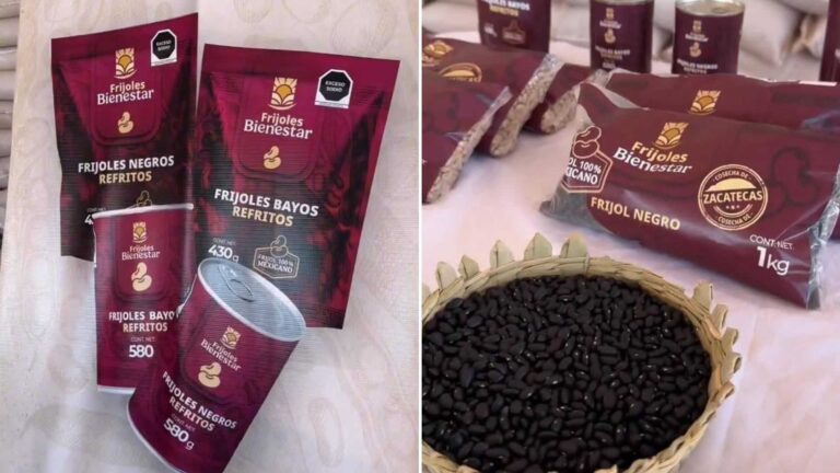 Frijoles del Bienestar llegarán para los mexicanos: ¿qué nutrientes aporta el frijol?