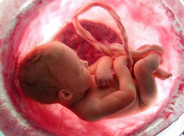 Histórico: combinan dos tipos de trasplantes y salvan a niña con enfermedad en la sangre