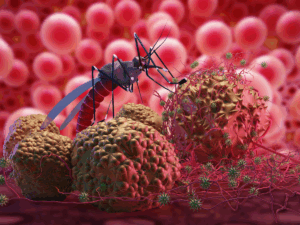 Científicos de la UNAM advierten por paludismo, ¿qué es?