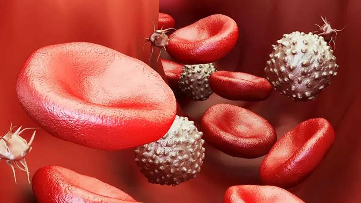 ¿Usas anticoagulantes o te dan miedo? Esto debes saber