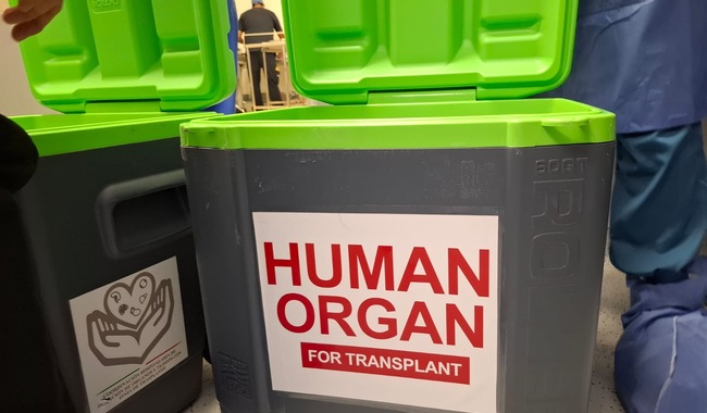 Héroes: joven de 20 años falleció y su familia decidió donar su hígado y riñones