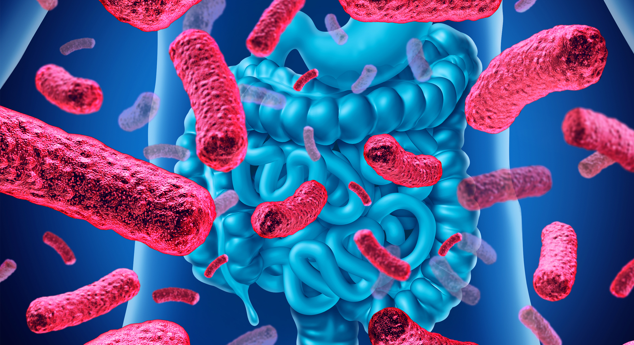Probióticos y tus intestinos tienen todo que ver.