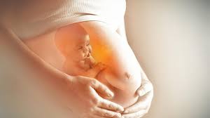 Juana pasó 12 horas con su bebé muerta en el vientre: médicos en Puebla no le hacían caso