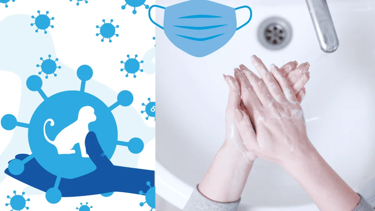 Aumentan casos de Mpox en Jalisco: Secretaría de Salud Jalisco lanza medidas de prevención y autocuidado