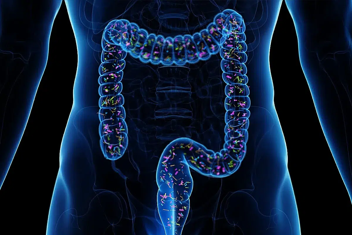 ¿Cuáles son los beneficios del kéfir para la microbiota intestinal?