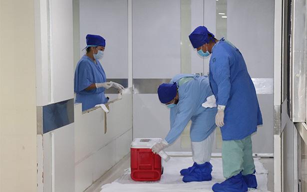 Especialistas procuran tres corazones que dieron tres nuevas oportunidades de vida