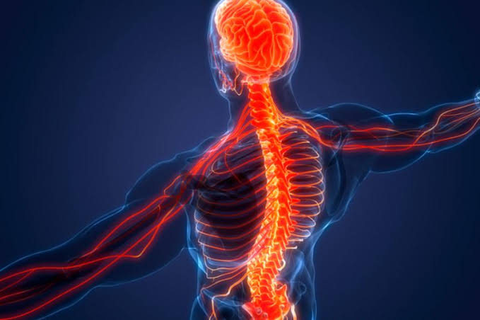 Lesión medular: buscan que pacientes puedan tomar el transporte público