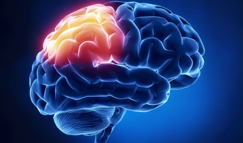 Atención durante el embarazo reduce el riesgo de parálisis cerebral en recién nacidos