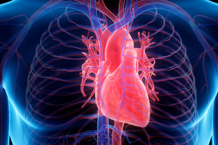 Sobrepeso aumenta riesgo de insuficiencia cardiaca, advierte experto