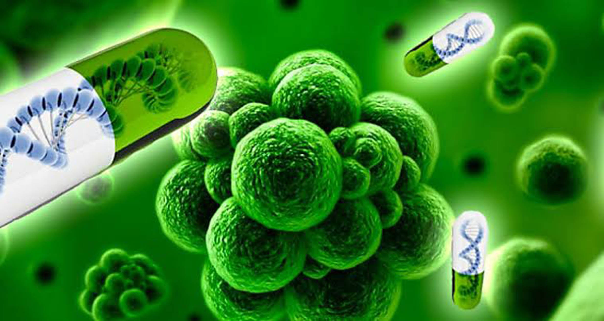 Jalisco busca concientización sobre resistencia antimicrobiana