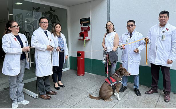IMSS adapta espacios personas acompañadas de perros de asistencia