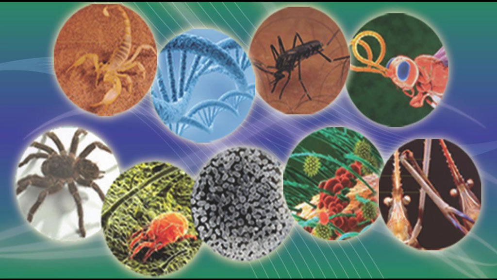 Día Mundial de las Enfermedades Tropicales Desatendidas, ¿qué son?