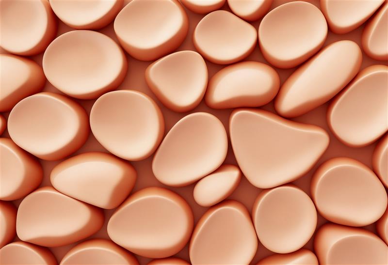 Alteraciones en el tejido adiposo: nueva clave en el  desarrollo de la insuficiencia cardiaca