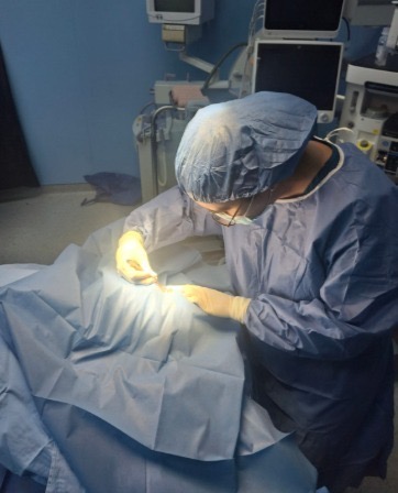 Especialistas en Querétaro realizan exitoso trasplante de tejido musculoesquelético y córneas