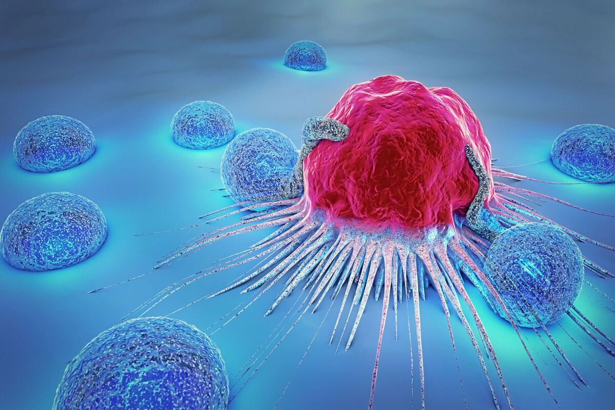 Cáncer: no hay espacio para la indiferencia, el compromiso es permanente y humano