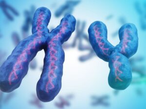 ¿Por qué la CDMX se iluminará de color morado?