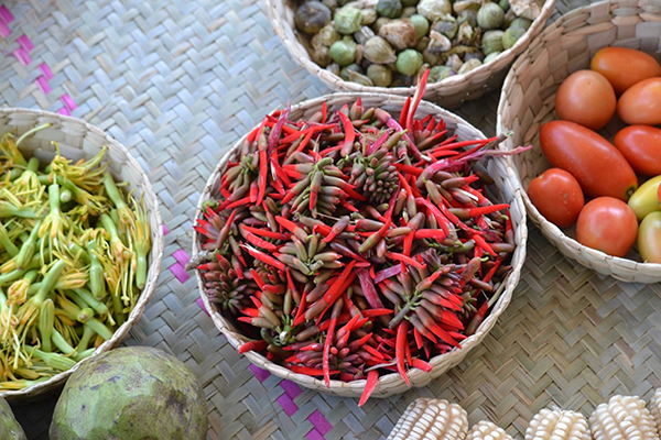 Buenas noticias: identifican en la Mixteca Alta de Oaxaca plantas silvestres alimenticias