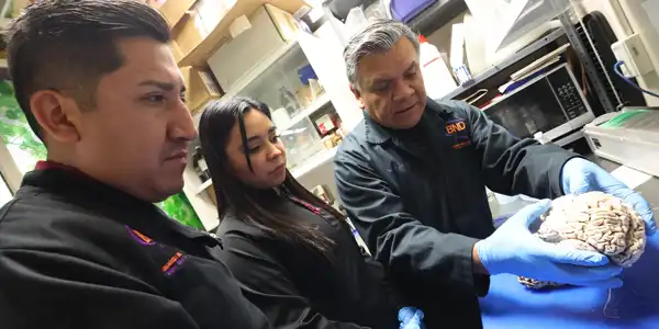 Investigadores del IPN logran hallazgo inédito para la comprensión del inicio de Alzheimer