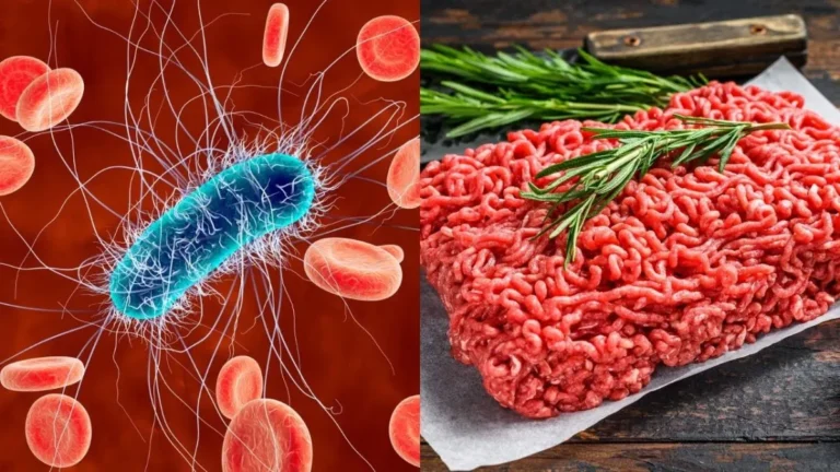 Decomisan mil kilos de carne de dudosa procedencia: esto sabemos