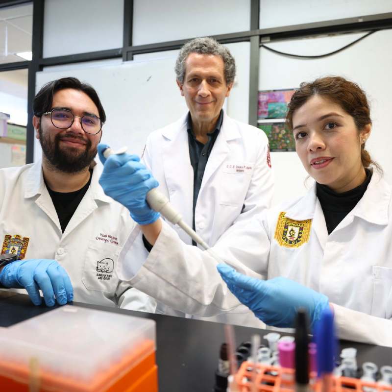 IPN avanza en la regeneración de huesos, cartílago y tejido muscular con células madre