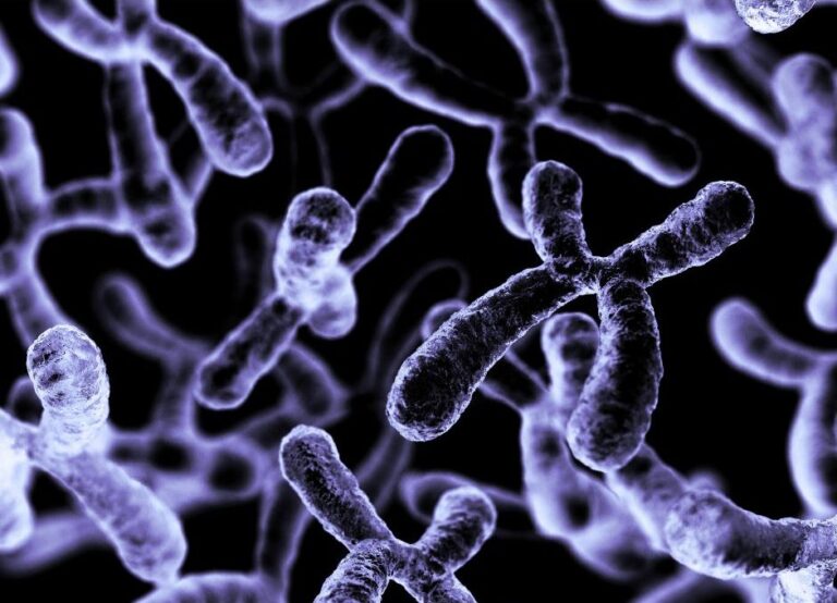 UNAM investiga gen que ayude a mejorar la calidad de vida de personas con trastorno del espectro autista