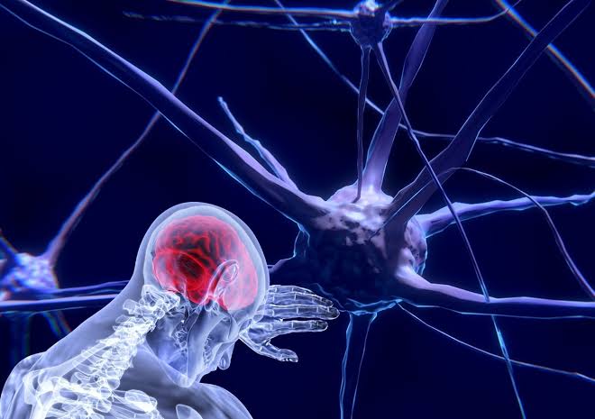 Fundación Teletón y Roche México se alían para impulsar la detección oportuna y la atención integral de enfermedades neuromusculares