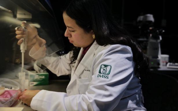 ¿El IMSS está listo para fortalecer la investigación en México? Esto respondieron