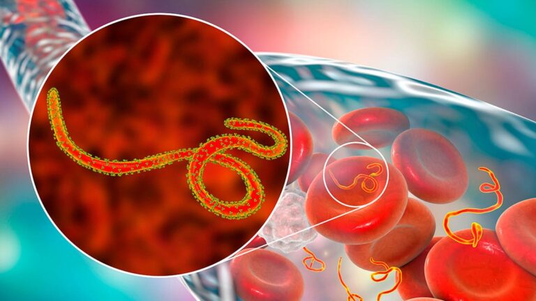 CDC de África y OMS presentan un plan continental conjunto de respuesta al ébola