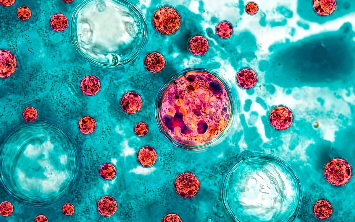 Secretaría de Salud amplía las acciones de vigilancia ante reportes internacionales de ciclosporiasis