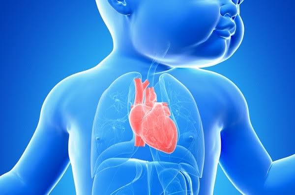 Médicos del ISSSTE corrigen con éxito cardiopatía congénita en recién nacido en Yucatán