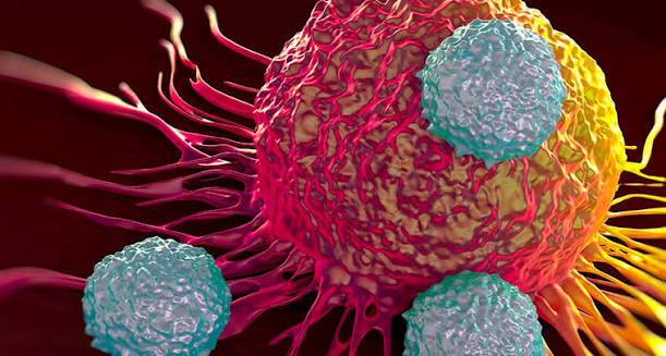 Alianza en Jalisco contra el cáncer: XIV Jornadas Oncológicas