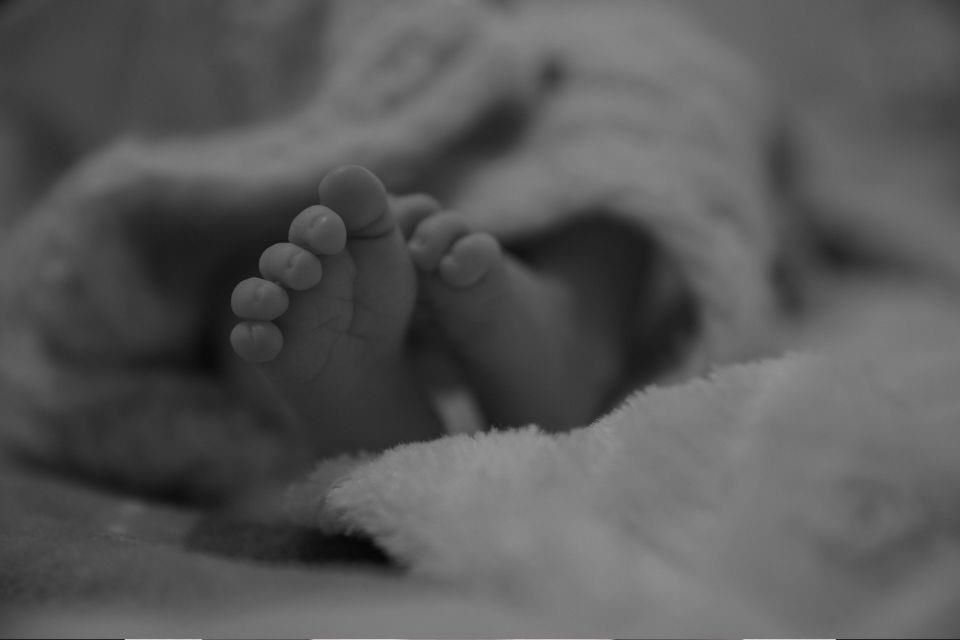 Son al menos 17 recién nacidos fallecidos en Jalisco; sospechan infecciones hospitalarias